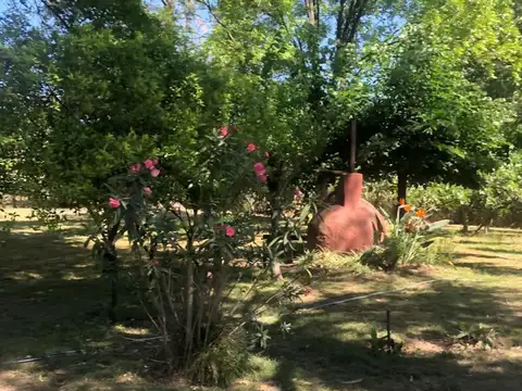 Terreno en Venta de 1570,0 m2