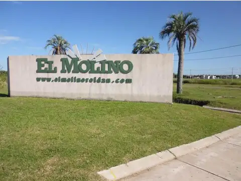 Terreno en El Molino Roldán