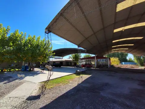 Se vende terreno con tinglados en Maipú, Mendoza