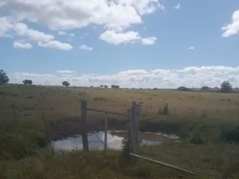 Chacra en venta 12 hectáreas en Corte de la Leña — con opción de fraccionamiento. Uruguay