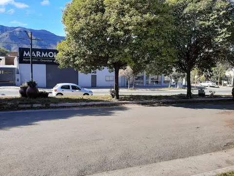 San Martin 600