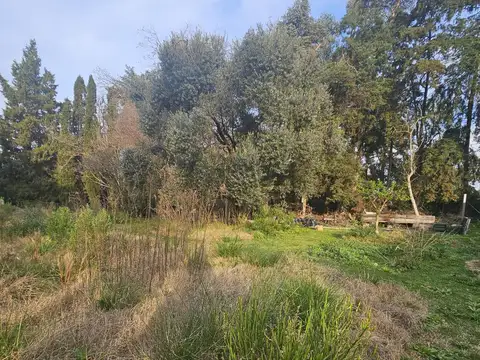 Carmel CC
