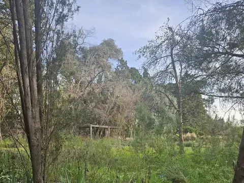 Terreno en Venta 30  mts Frente