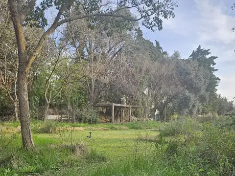 Carmel CC