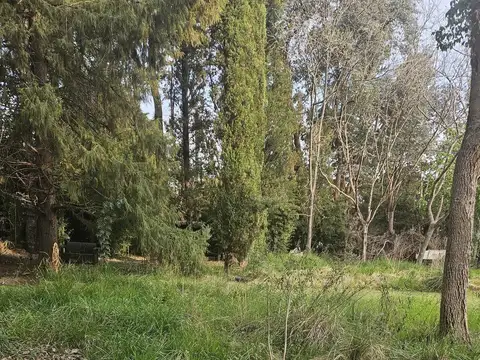 Terreno en Venta 41  mts Fondo