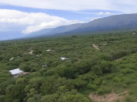 Terreno en Venta de 800,0 m2