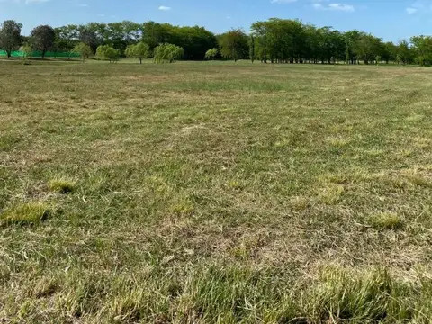 Av. Fernández Beschtedt