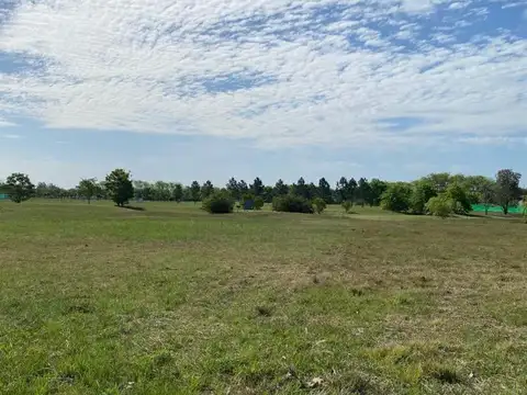 Terreno en Venta de 2000,0 m2