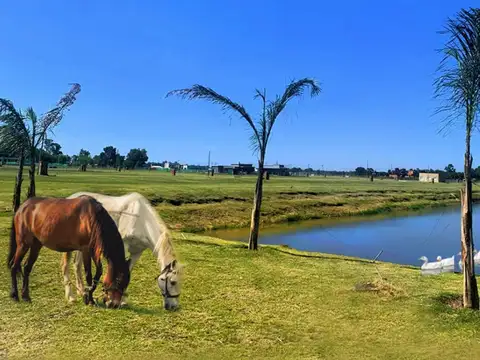 Terreno en Venta de 800,0 m2