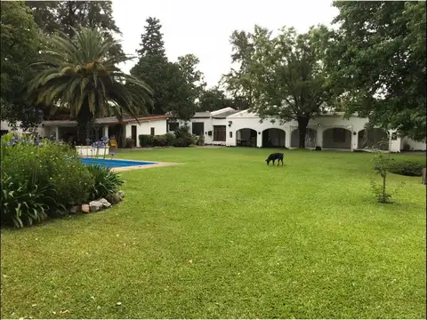 Monseñor de Andrea al 800