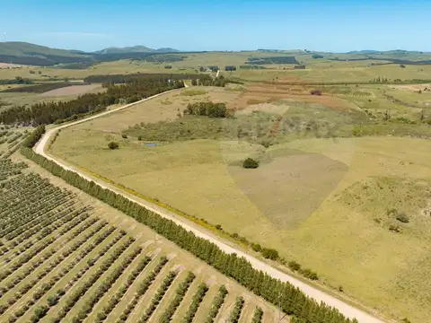 Chacra en venta entre R 39 y 12 - Oportunidad 