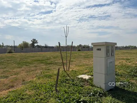 Lote a la venta en Damasia al Sur
