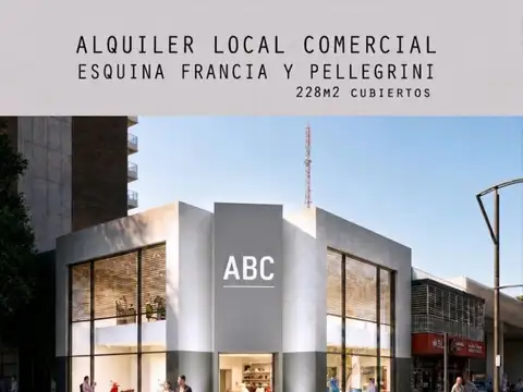 Avenida carlos pellegrini al 3000