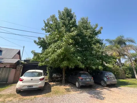 LAS AZUCENAS 2384