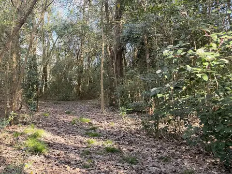 Viví la experiencia de despertar cada día rodeado de naturaleza, aire puro y la serenidad