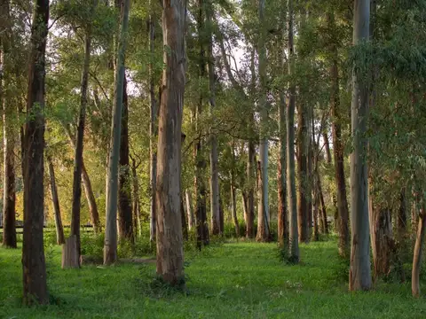 Terreno en Venta en Haras San Pablo, USD 67.000