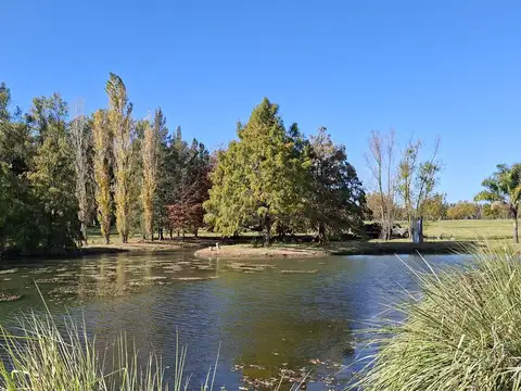 Ruta Provincial 193 - Zarate (a 12 km. de Capilla del Señor)
