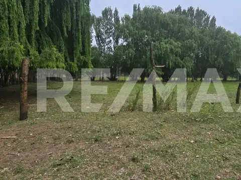 LOTE DE 2.500 M2 - LEJOS DE BS AS - SENILLOSA
