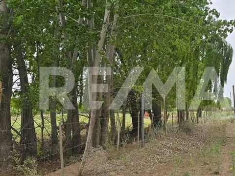 Terreno en Venta en Senillosa, USD 30.000
