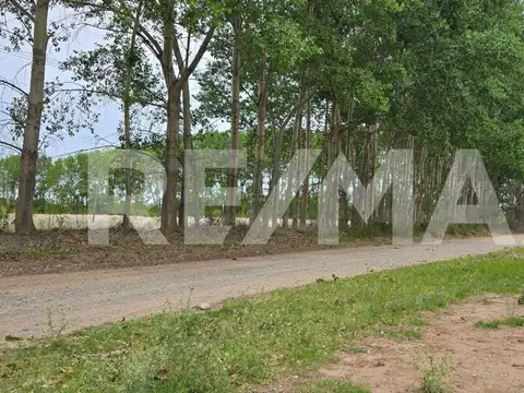 Terreno en Venta de 2500,0 m2