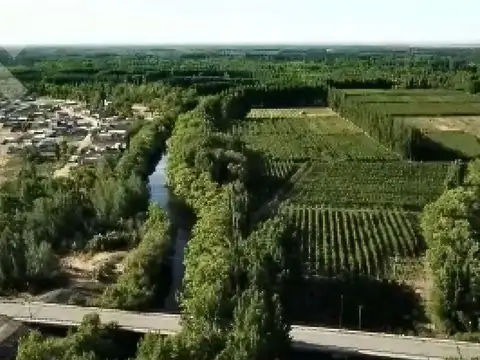 En Venta Chacra de 65 Has, Isla Adelina, Centenario Neuquén.