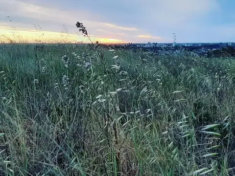 Terreno en Venta en Carmen De Patagones, USD 45.000