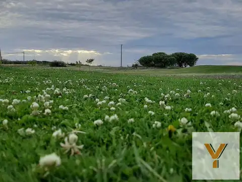 Terreno en Venta 40  mts Fondo