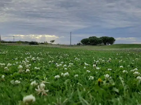 Terreno en Venta 40  mts Fondo
