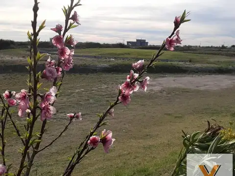 Terreno en Venta 20  mts Frente