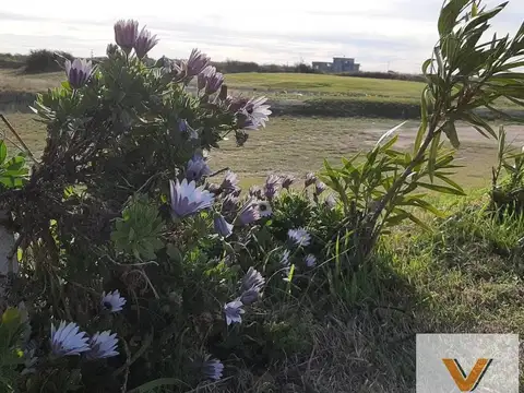 Terreno en venta - 800Mts2 - Carmen de Patagones