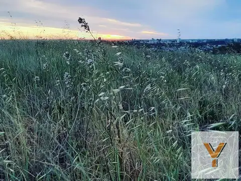 Terreno en Venta en Carmen de Patagones, USD 45.000