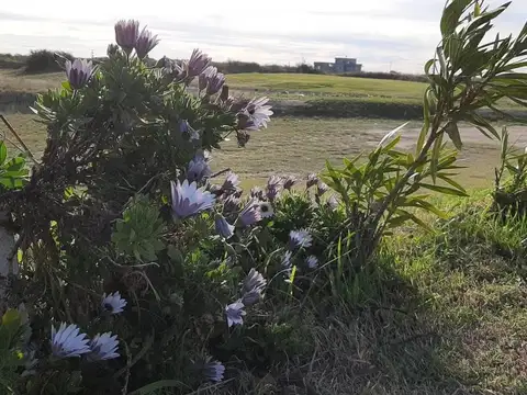 Terreno en venta - 800Mts2 - Carmen de Patagones