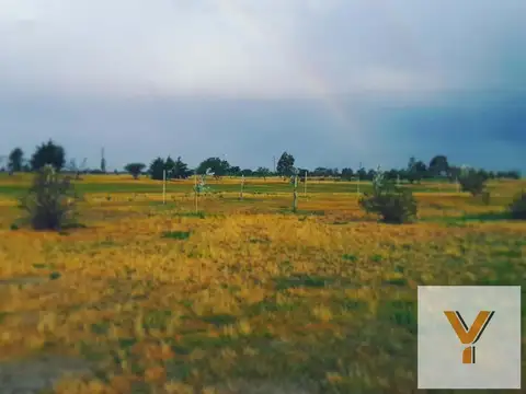 Club De Golf La Comarca