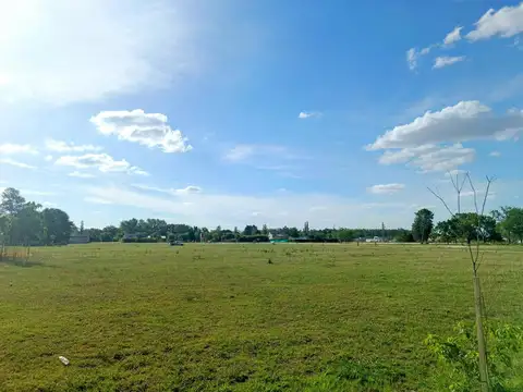 Terreno en Venta 37  mts Fondo