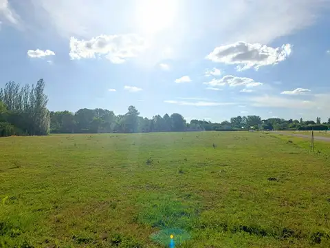 Terreno en Venta 12  mts Frente