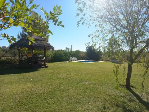 Molino Blanco