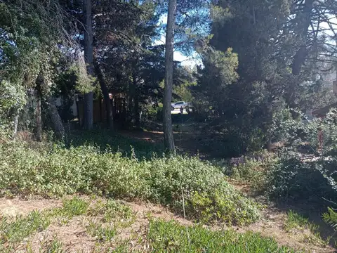 Terreno en Venta en Monte Hermoso, USD 49.500