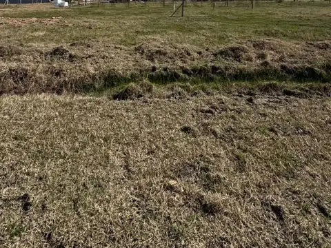 Terreno en Venta de 200,0 m2