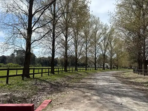 Terreno en Venta de 5000,0 m2