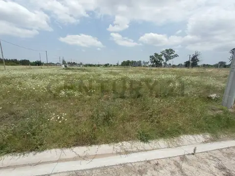 Terreno en Venta 29,69  mts Fondo