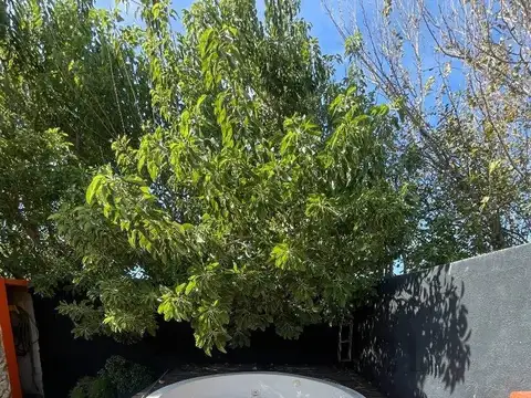 CASA ZAVALLA 4 DORMITORIOS CON JACUZZI Y PILETA