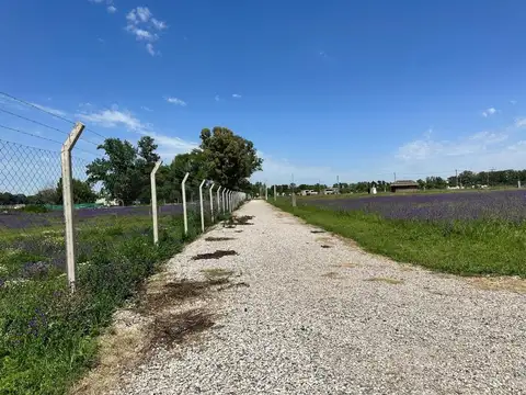 Terreno en Venta en Manzanares, USD 22.000