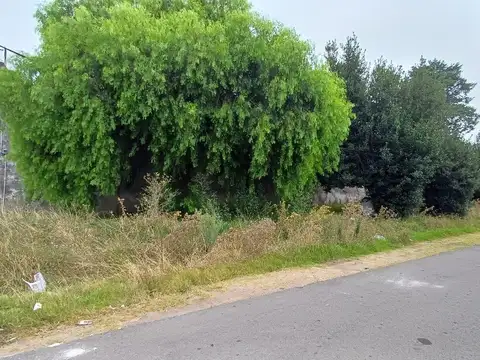 Venta de casa a reciclar con gran terreno en Pando