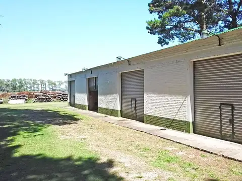 Santa Clara - Haras de 103 has cercano al mar