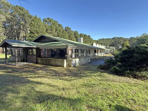 Haras de 103 has cercano al mar