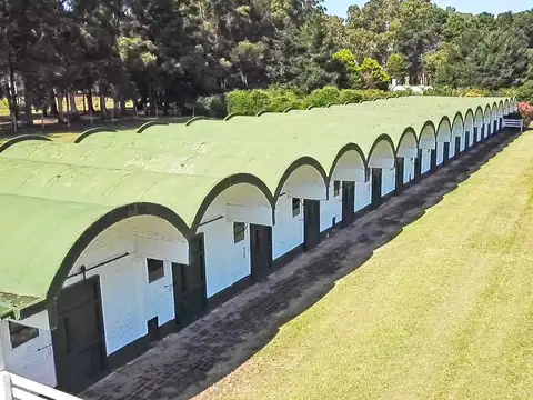 Santa Clara - Haras de 103 has cercano al mar
