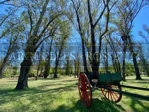 Venta Terreno Kentucky - Único Frente a espacio Verde