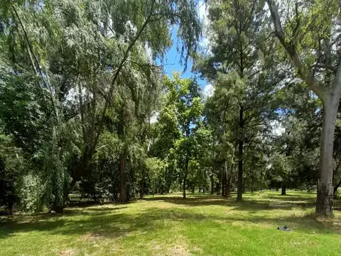 CHACRA 11,8 HECTAREAS GENERAL RODRIGUEZ