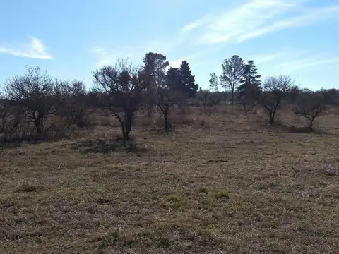 Terrenos grandes venta en Villa Los Aromos - sierras de Cba.