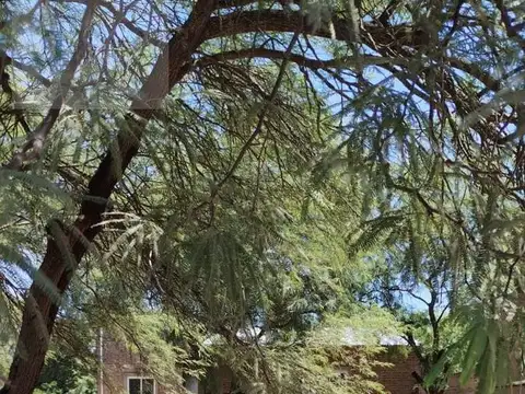 Casa en  V. Angela-a 100 mts. de ruta 95